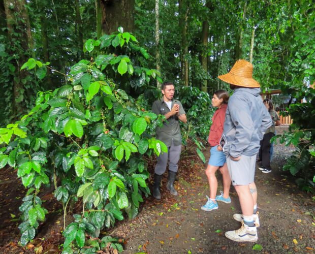 tour-coffee-chocolate-sugarcane-in-la-fortuna-9